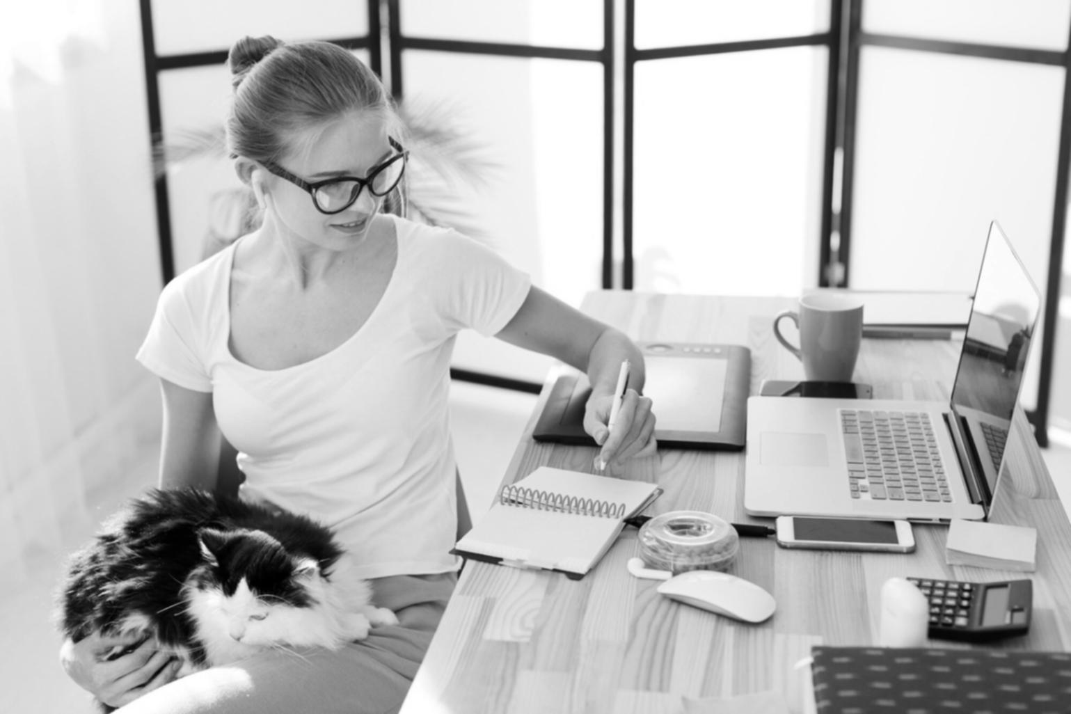 Équipe travaillant sur des stratégies d'investissement